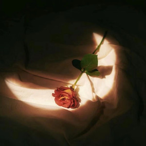 男人互摸jiji㊙️网站军人
